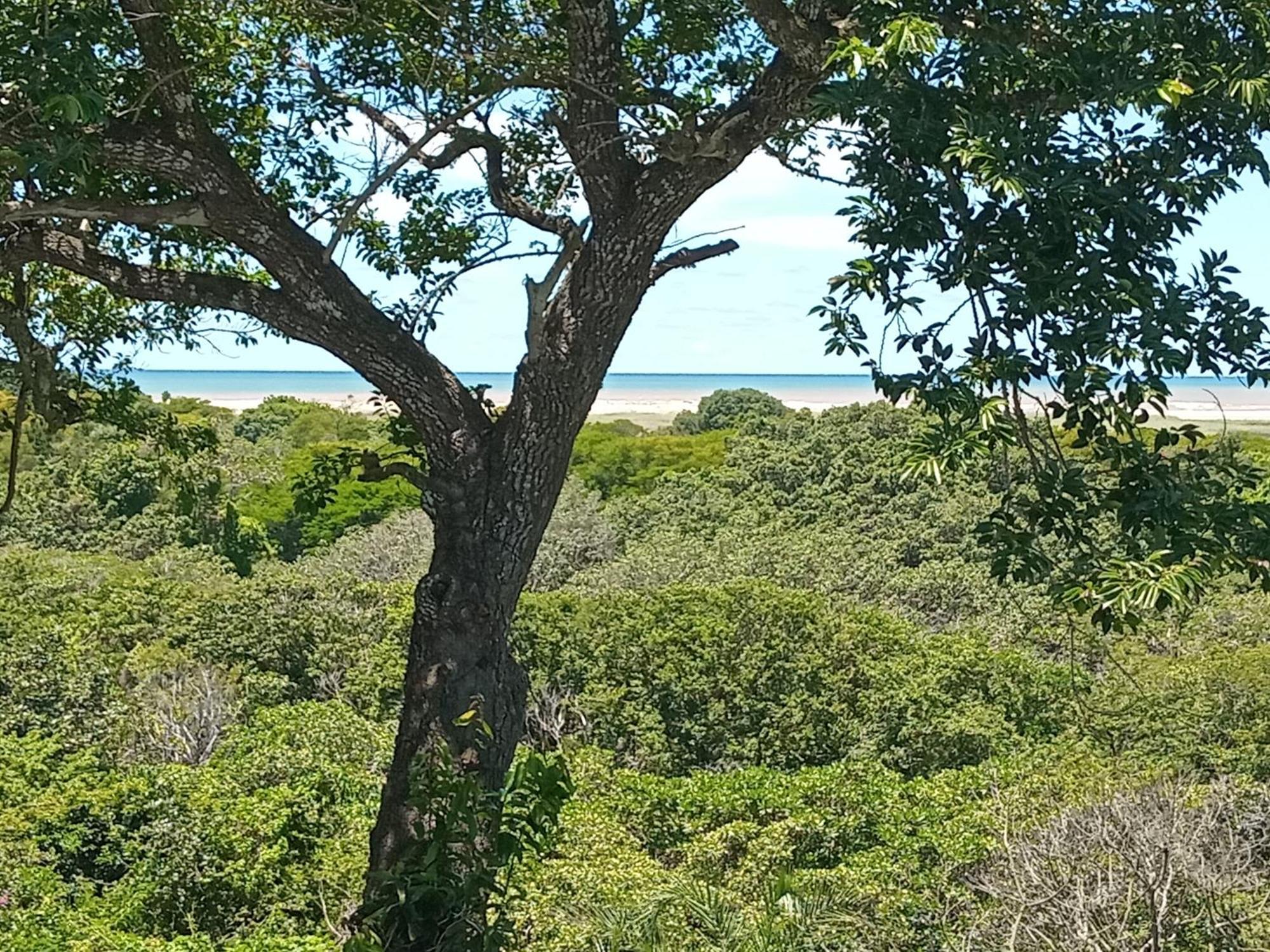 St. Lucia Ocean View Holiday Home エクステリア 写真